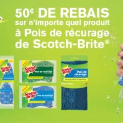 scotch brite scrub dots coupon rabais